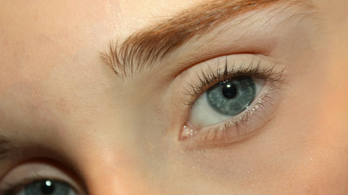 An ultra-close-up of a woman’s eyes showing natural lifted lashes